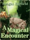 A Magical Encounter