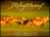 Rhythms from the Wild