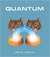 Quantum: A Guide for the Perplexed (Hardcover)