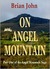 On Angel Mountain (Angel Mountain Saga, #1) by Brian John