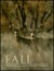 Fall