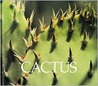 Cactus Cactus