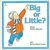 Big or Little? (Paperback)