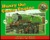 Henry the Green Engine