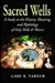 Sacred Wells