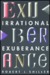 Irrational Exuberance (Hardcover)