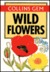 Collins Gem Wild Flowers by Marjorie Blamey Collins Gem Wild Flowers by Marjorie Blamey