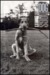 Elliott Erwitt: Dog Dogs (Hardcover)