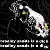 Bradley Sands is a ****