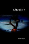 Afterlife Afterlife