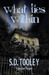 What Lies Within (Sam Casey...