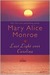 Last Light over Carolina (Paperback)