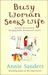 Busy Woman Seeks Wife (Hardcover)