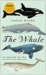 The Whale: In Search of the Giants of the Sea (ebook)