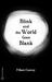 Blink and the World Goes Blank