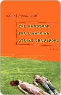 The Handbook for Lightning Strike Survivors