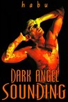 Dark Angel Sounding Dark Angel Sounding