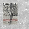 Crucifixions and other Fictions 