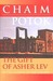The Gift of Asher Lev (ebook)