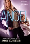 Angel by James Patterson Angel by James Patterson