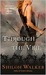 Through the Veil (Veil, #1)