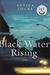 Black Water Rising (Paperback)
