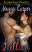 Hayden's Hellion (O'Malley Wild, #3)