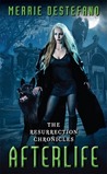 Afterlife by Merrie Destefano Afterlife by Merrie Destefano