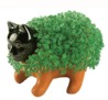 Chia Pet Hell