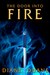 The Door Into Fire by Diane Duane