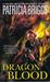 Dragon Blood (Hurog, #2)