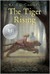 The Tiger Rising (ebook)