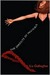 The Opposite of Invisible (ebook)