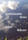Unthinkable Skies
