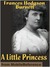 A Little Princess by Frances Hodgson Burnett