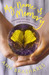 My Name is Memory (Hardcover)