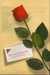 The Last Valentine