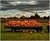 Pumpkins (Hardcover)