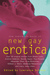 The Mammoth Book of New Gay...