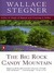 The Big Rock Candy Mountain (ebook)