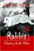 Rabbit Chasing Beth Rider (Rabbit #1)