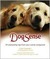 DogSense