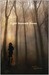 Light Beneath Ferns (ebook)