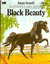 Black Beauty (Illustrated Classic Editions)