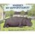 Where's My Hippopotamus?