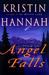 Angel Falls (Hardcover)