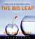 The Big Leap (Audio)