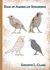 Eggs of American Songbirds by Kenneth L. Clark Eggs of American Songbirds by Kenneth L. Clark