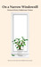 On a Narrow Windowsill Fict...