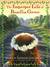 The Improper Life of Bezellia Grove (MP3 Book)